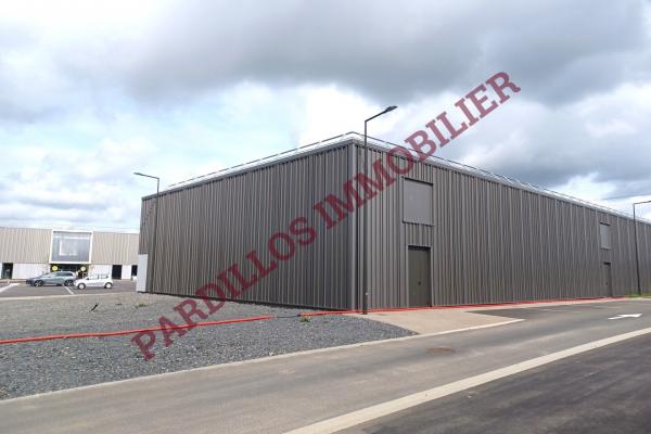 IFS - A Louer - LOCAL D'ACTIVITES NEUF - 708,50 m²